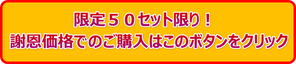 謝恩価格での販売